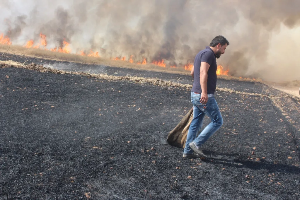 Li Dirbêsiyê 600 donim zevî şewitî