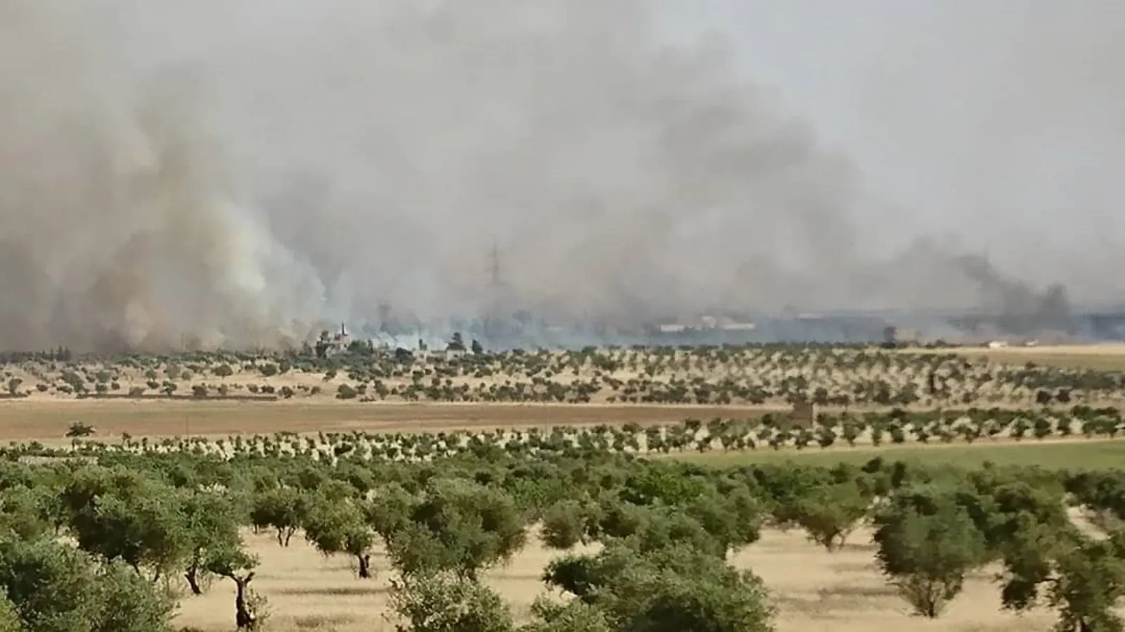 Li Şehbayê rûberek a dar û zeviyên çandiniyê şewitîn