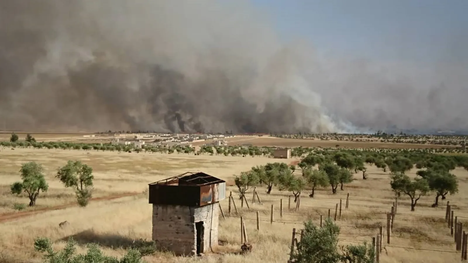 Li Şehbayê rûberek a dar û zeviyên çandiniyê şewitîn