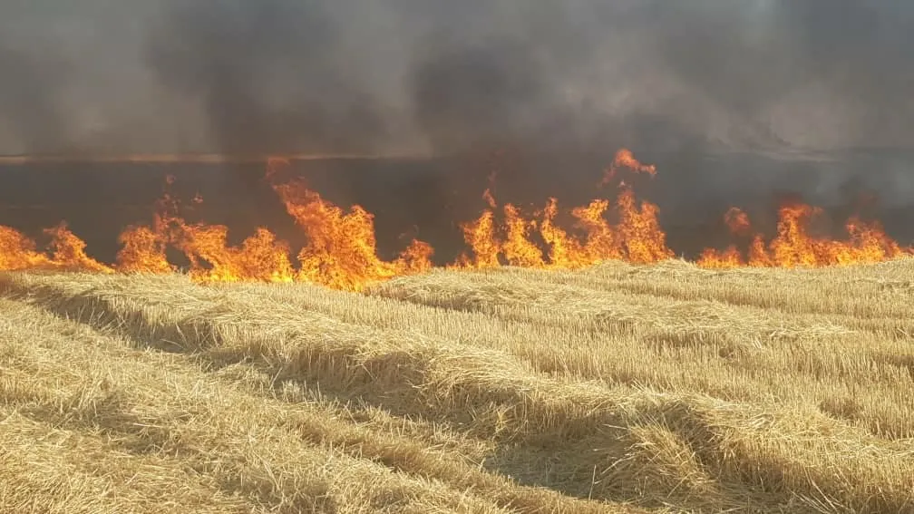 Agir bi zeviyên bakurê rojavayê Qamişlo ket