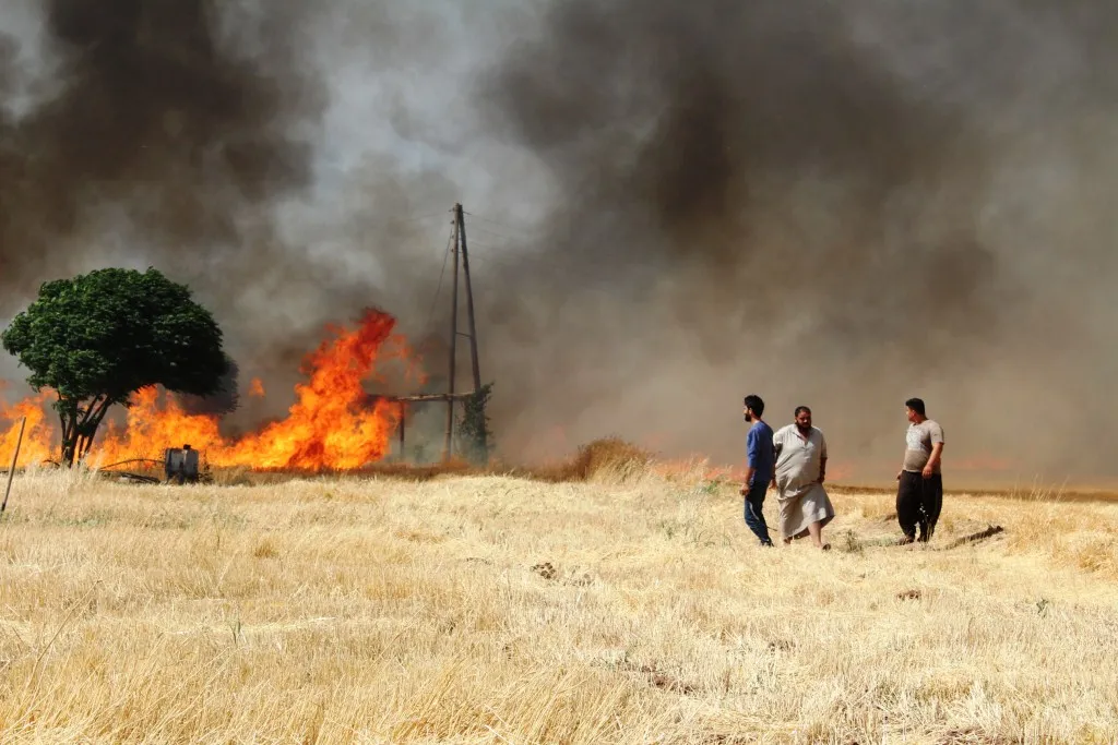 Agir bi zeviyên gundên rojhilatê bajarê Kobanê ket