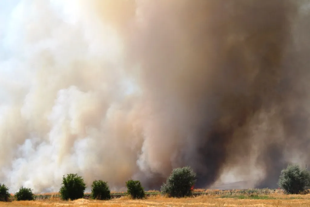 Agir bi zeviyên gundên rojhilatê bajarê Kobanê ket