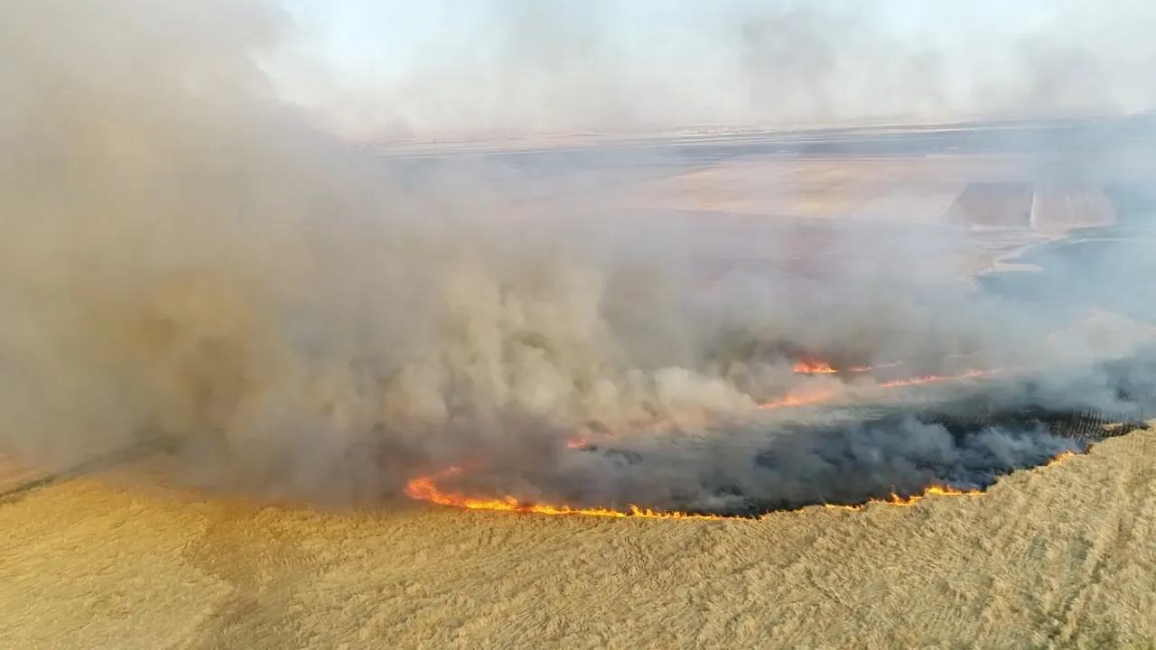 Rejîma Sûriyê rê nade ku şewata li Qamişlo were vemirandin