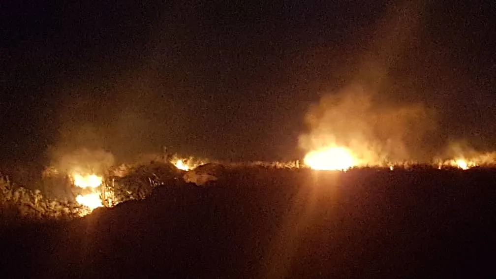 Hêzên dagirker li Şêrawayê dar û zeviyên çandiniyê dan ber agir