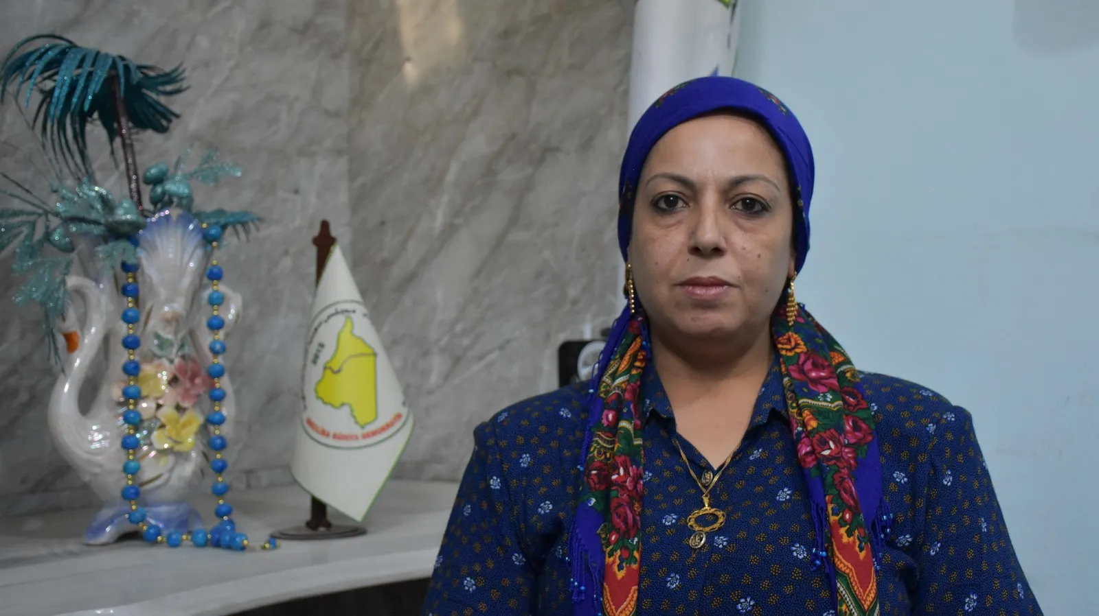 Fehîma Hemo: Tirkiyê dê li Sûriyê bi sernekeve