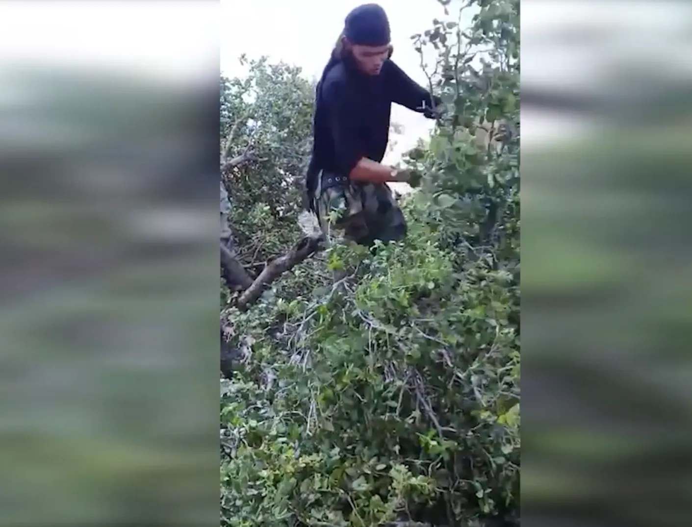Li Efrînê revandin, talan û zordarî berdewam e