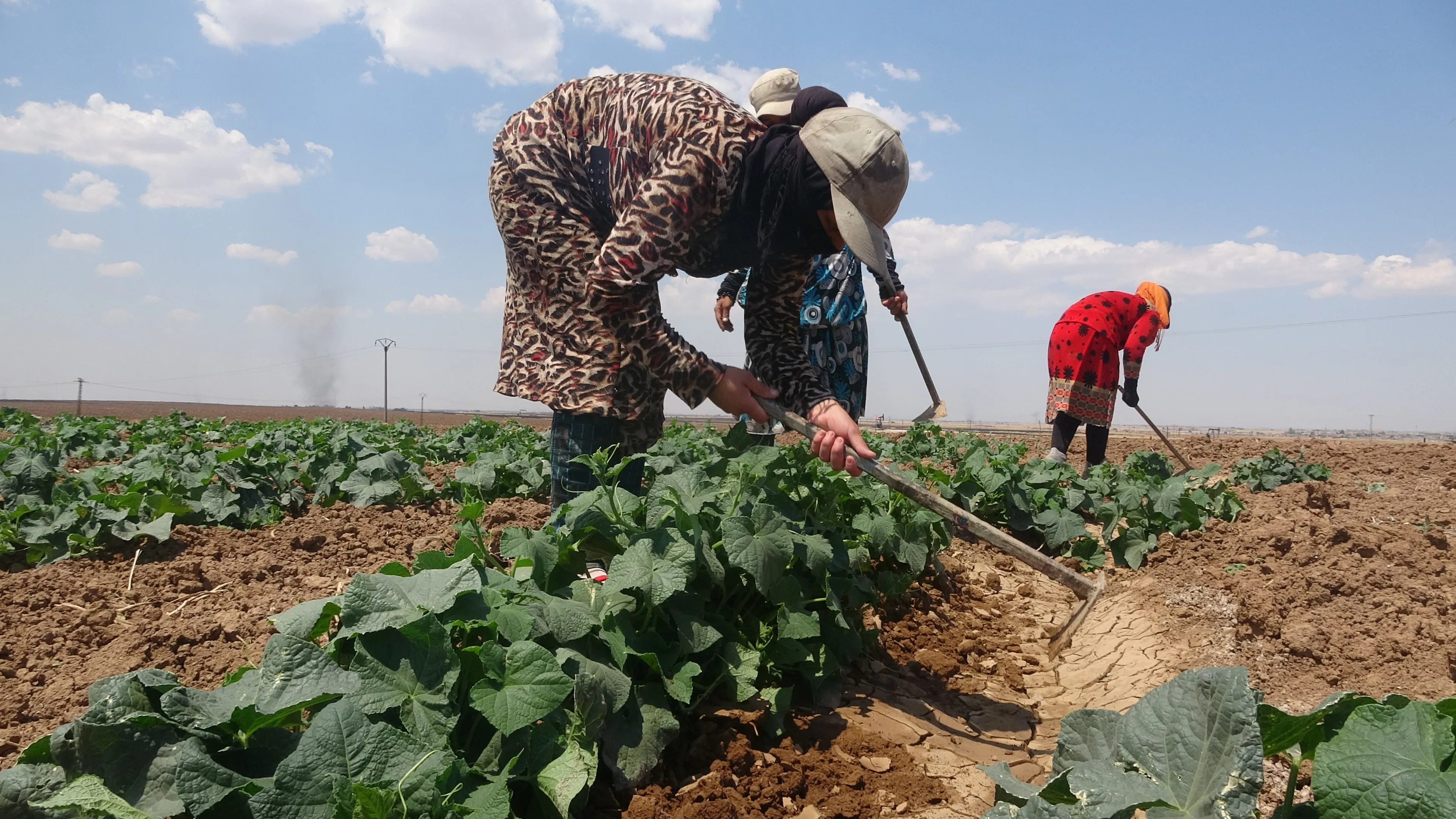 Jinan pênaseya aboriyê vegerand cewherê wê yê rasteqîn