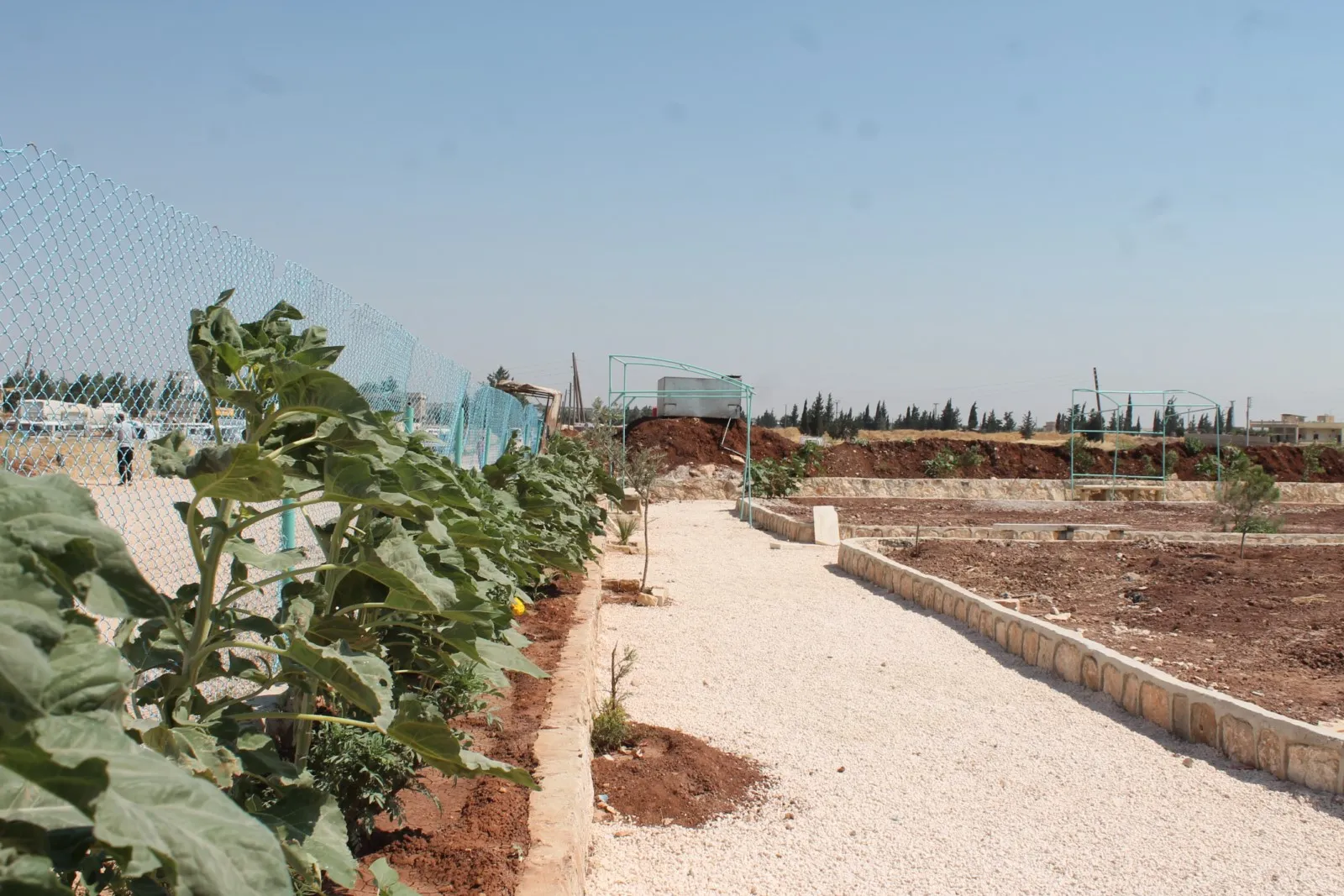 Şaredariya Gel a Kampa Serdemê parkekî ava dike