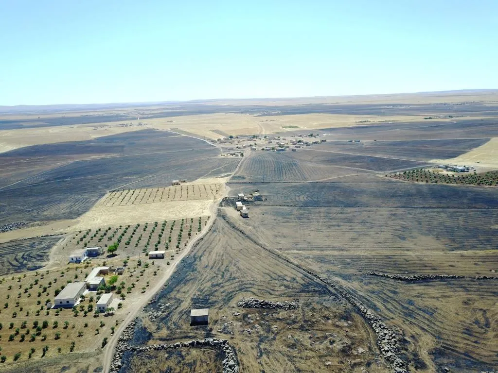 Ji jor de wêneyên berfirehiya zeviyên ku li kantona Kobanê şewitîn e