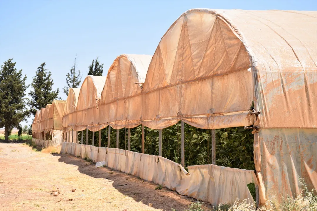Baxçeyê Rojava..stargeha bi dehan malbat û jêdera sûkên herêmê ye