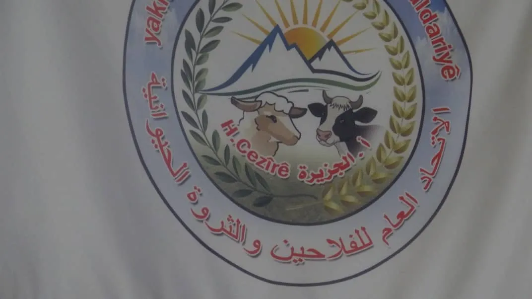 Li Şedadê ji ber ava şor nexweşiya jehrî di nava sewalan de belav bûye