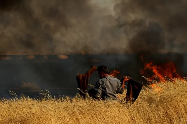 Li Cizîrê 2 milyon û 270 hezar donim erd şewitî