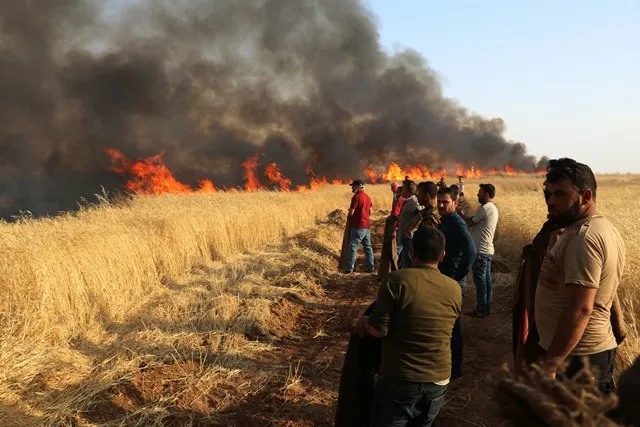 Li Cizîrê 2 milyon û 270 hezar donim erd şewitî