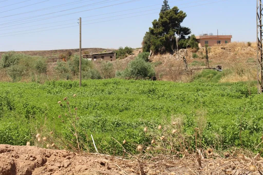 Şaredariyê lêpirsîn li kesekî ku av xerç dikir vekir
