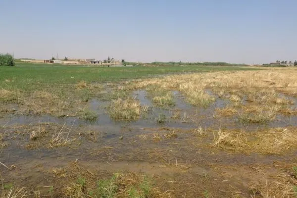 Dewleta Tirk asta avê bilind kir, du hezar hektar zevî di bin avê de ma