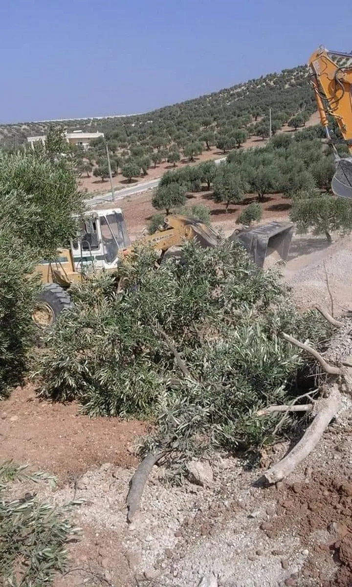 Rêxistina mirovî: Di 20 rojan de 300 efrînî hatin revandin
