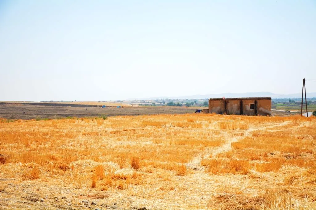 Li gundewarên Kobanê paşdeçûna çandiniyê û çareseriyên rêveberiyê