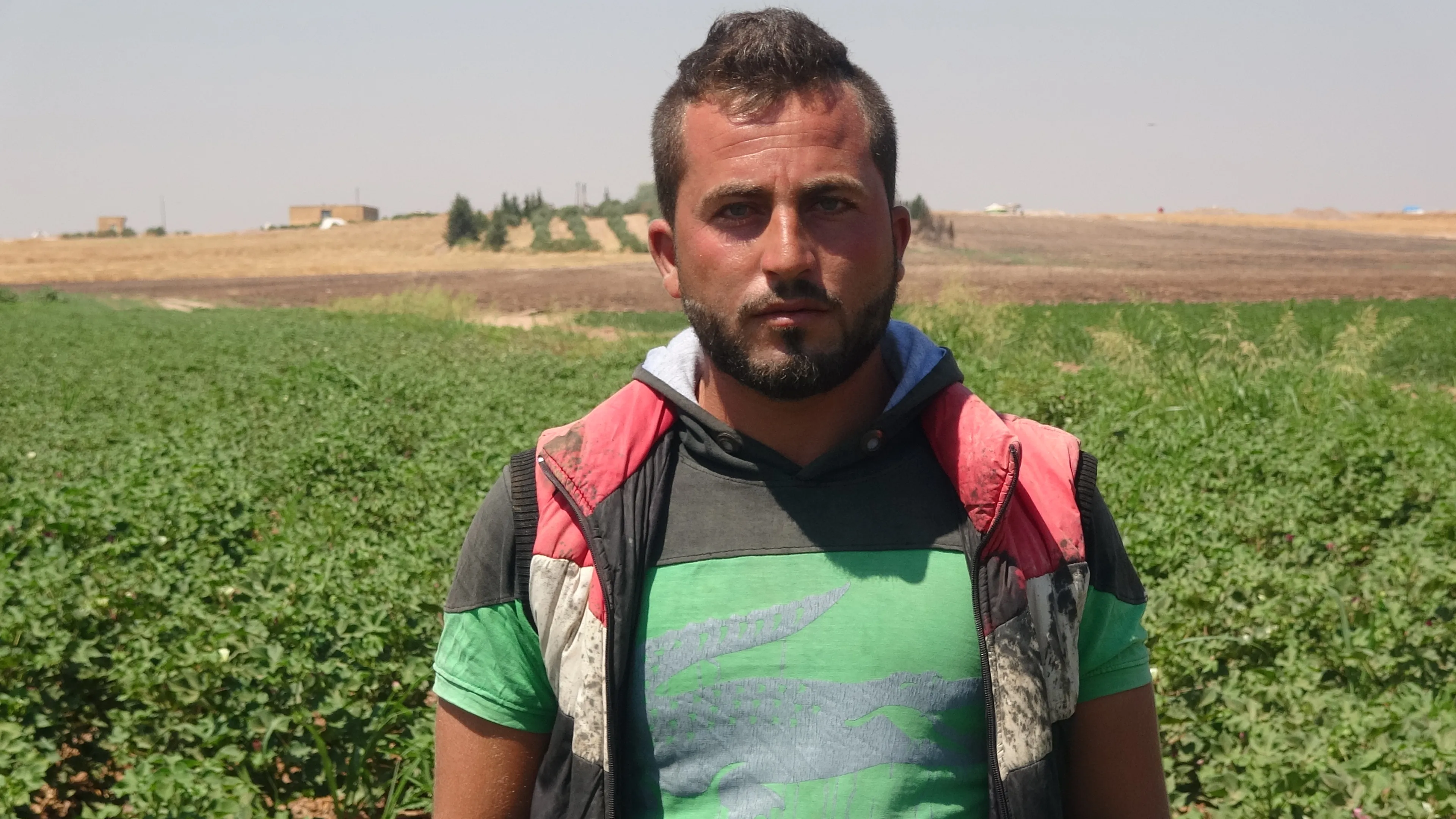Nexweşiya "Kurmê bistirî" li nav zevî belav dibe û gerînende bang dike