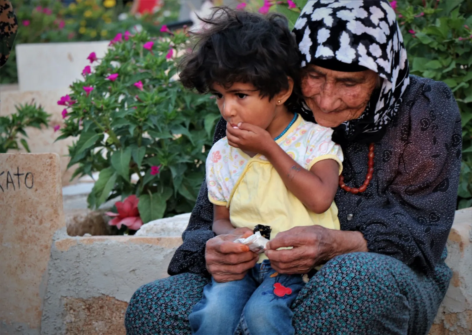 Şêniyên Bakur û Rojhilatê Sûriyê serdana goristanên cangoriyên azadiyê kir