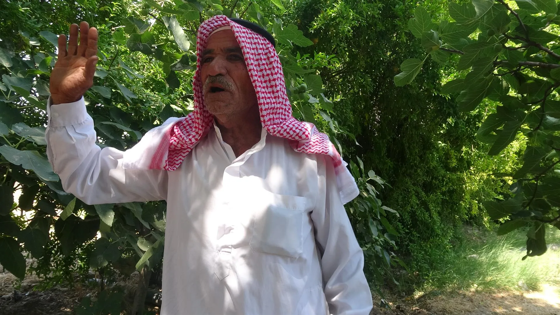 Apê Abdurehman... çandina darên nû yên cur bi cur pêşxist