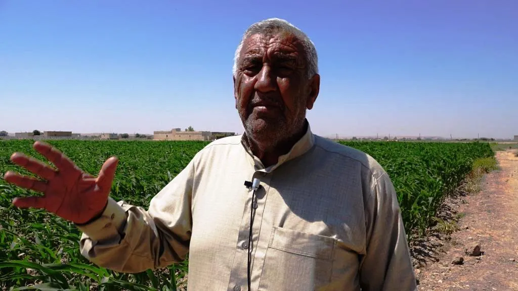 Cotkarên Reqayê bi mewsima havînê kêfxweş in