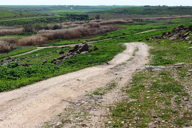 Li Tirbespiyê xebatên şaredariyê û giliyên şêniyan