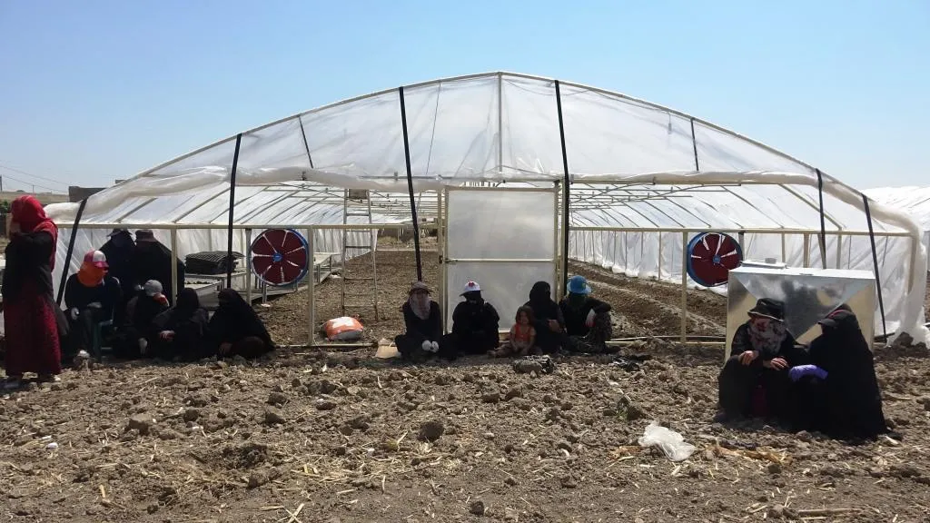 Destkeftiyên Komîteya Jinan a Reqayê