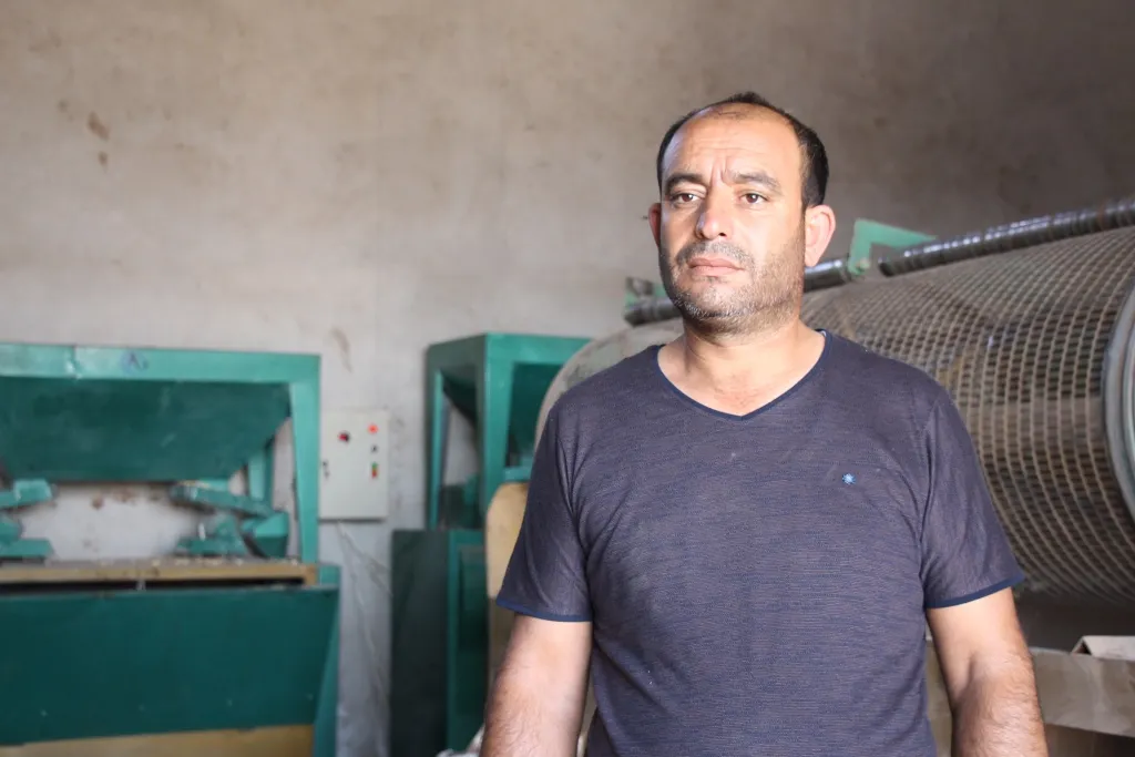 Rola vekirina kargeha şikandina fistiqa helebî