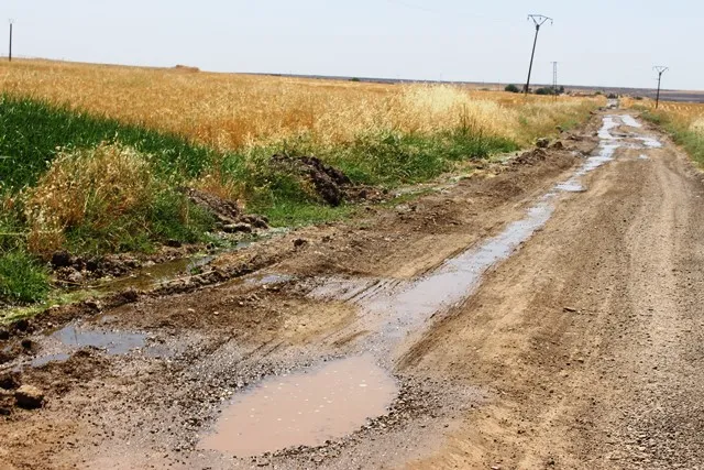 Komîteya Perwerdeyê ji bo veguhastina xwendekaran erebeyan peyda dike