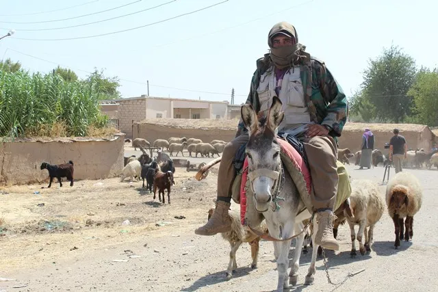 Jinên Koçeratê bi stranên gelêrî jiyana xwe wesifand