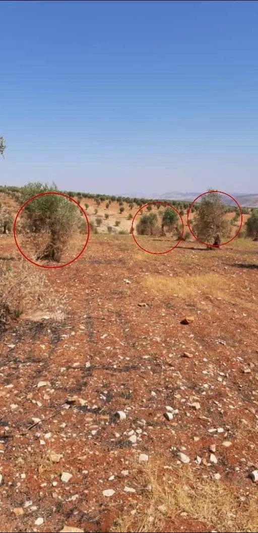 Binpêkirin û kiyarên dermirovî li Efrînê didomin