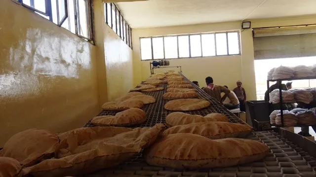 Firneya Şedadê rojane 14 ton nan derdixe