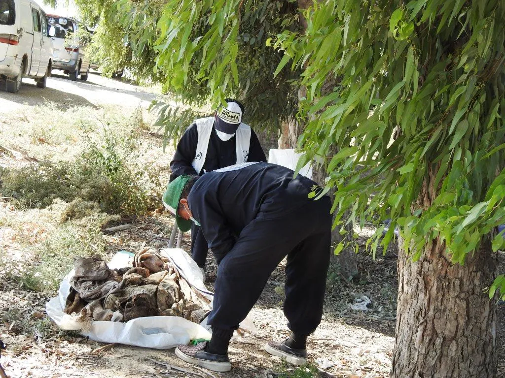 Tîma destwerdana destpêkê rakirina cenazeyan ji gorên komî didomîne