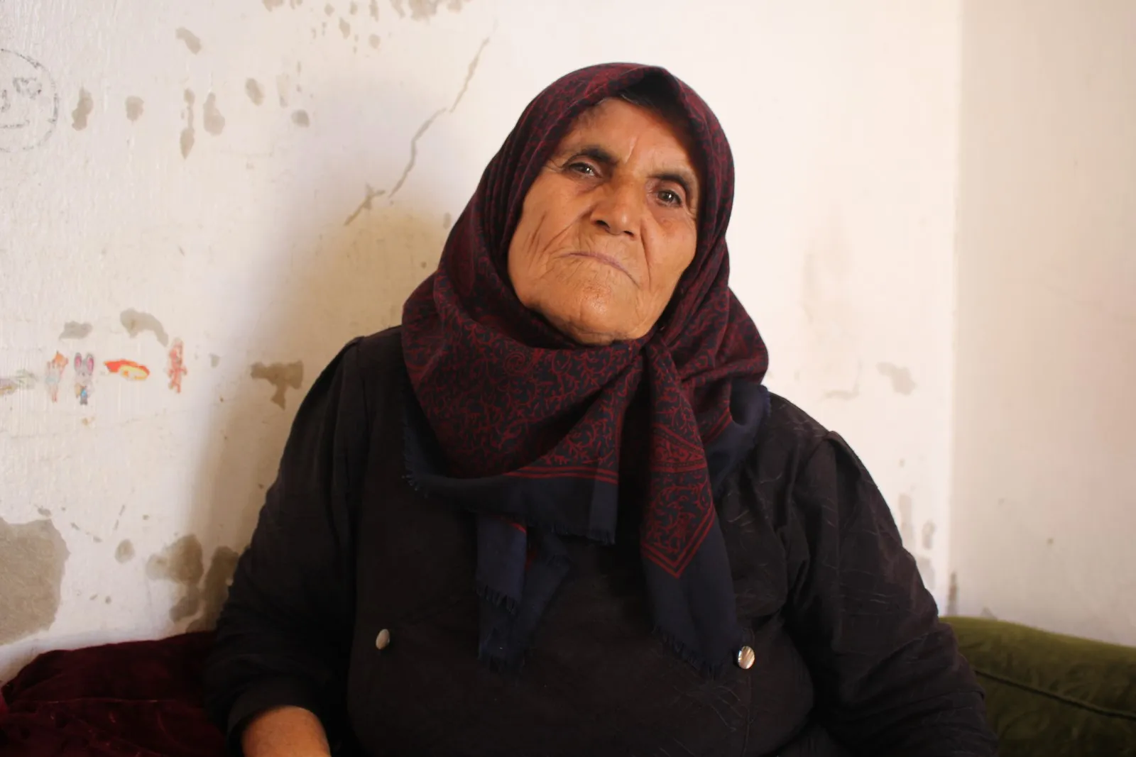 Dayika Arîn Mîrkan: Şervanên me rêça şehîdan dişopînin û dê Efrînê jî rizgar bikin