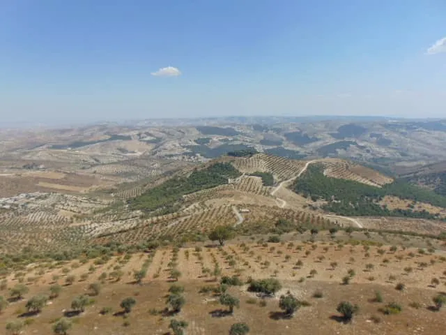 Çeteyên Amşat fidiyan li ser şêniyên gundê navçeya Şiyê ferz dikin