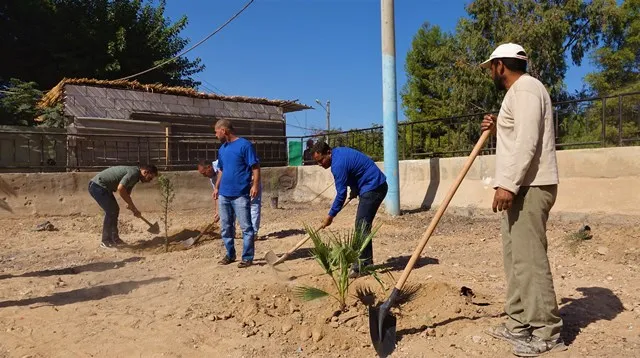 Hezar û 300 dar li parkên Tebqayê hatin çandin
