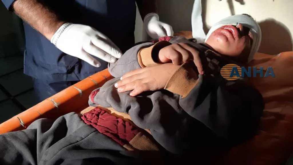 Artêşa Tirk malbatek ji 6 kesan kir armanc
