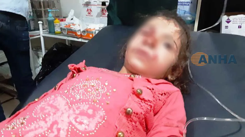 Artêşa Tirk malbatek ji 6 kesan kir armanc