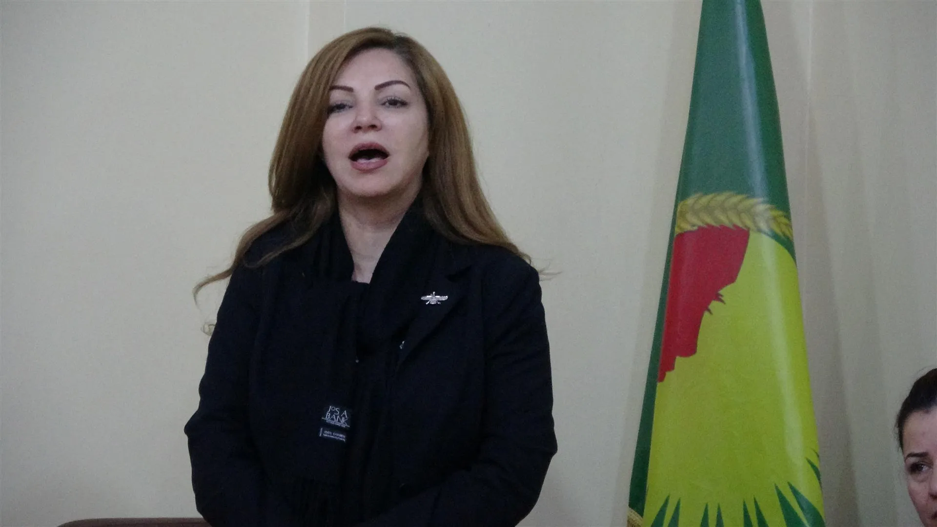 Şandeya jinan a Başûr: Divê jinên Kurdistanê li dijî sûcên Tirkiyê bibin yek