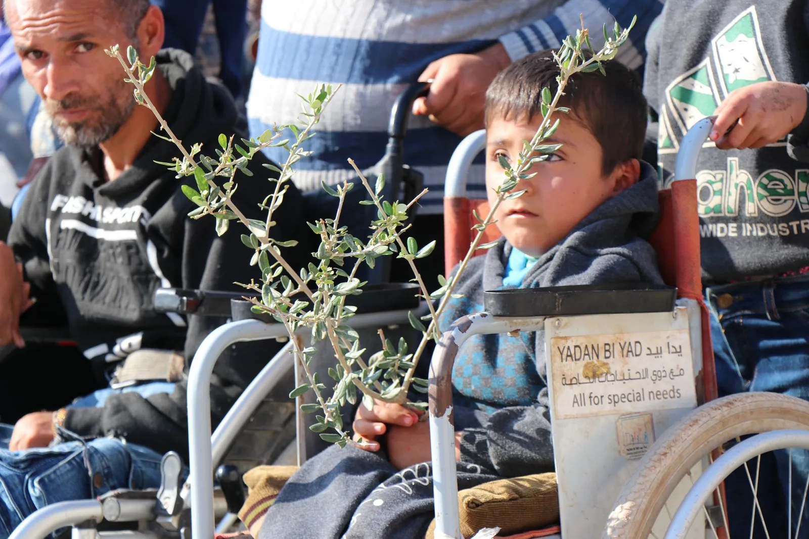 Gelên Efrîn û Şehbayê daketin qadan