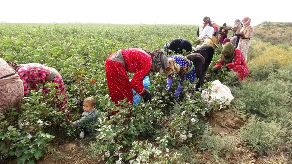 Jinên Reqayê qezenciyên mewsimê pembo ji koçberan re veqetandin