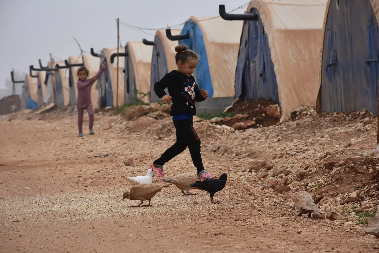 Koçberên ji Efrînê: Zivistan ji me re kabûs e