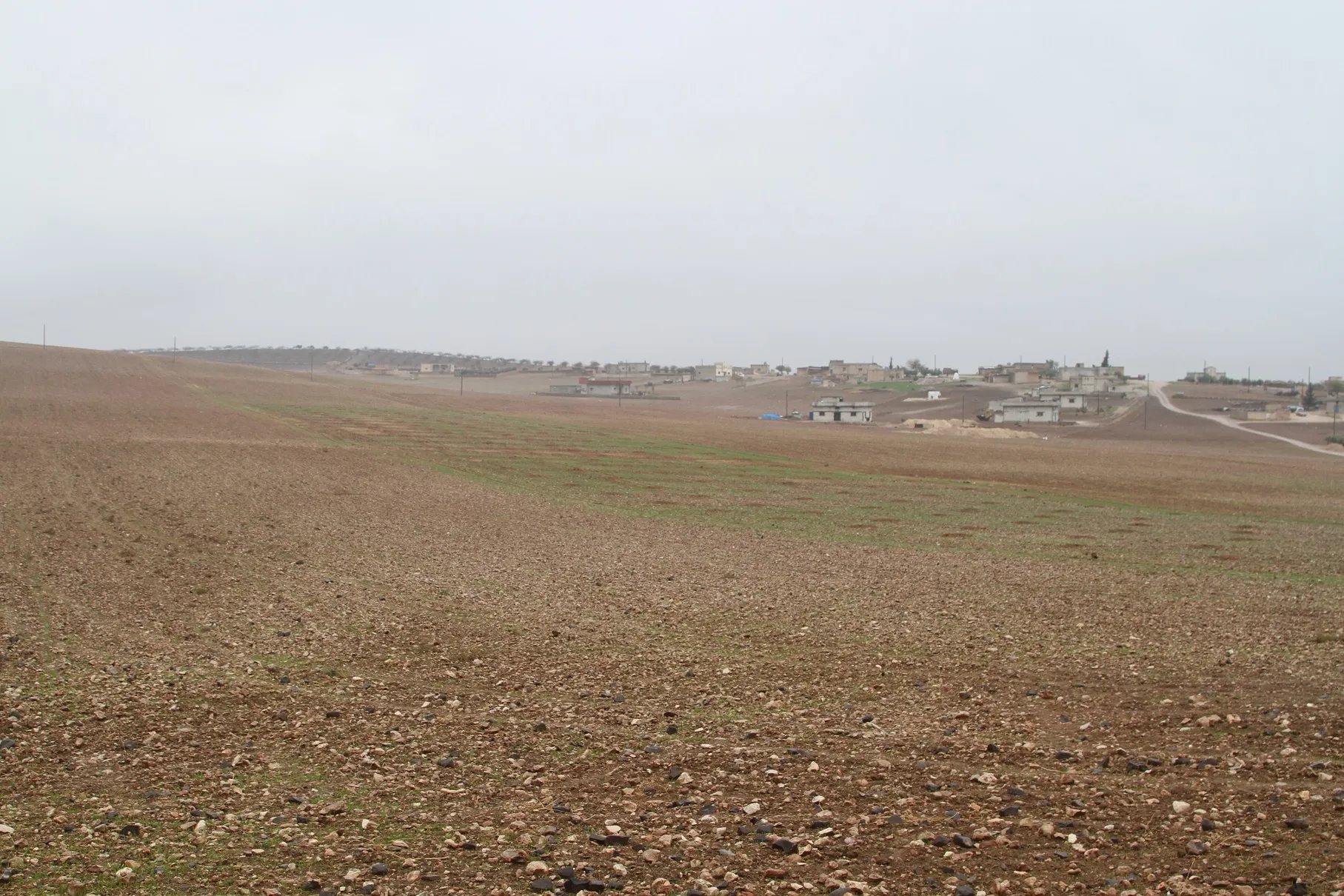 Cotkarên Kobanê ji mewsimê îsal bi hêvî ne