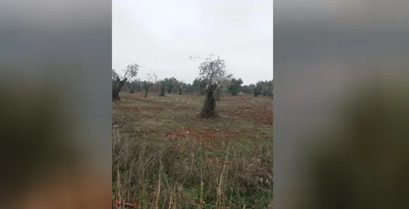 Dagirkerî binpêkirinên li ser xwazaya Efrînê didomîne