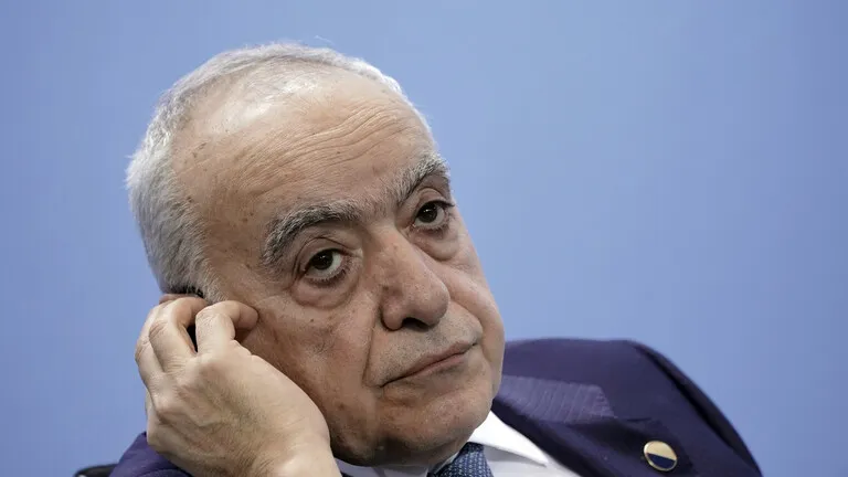 Nûnerê NY`yê ji Lîbyayê re: Tişta ku ez pê hesab ji Erdogan bixwazim heye
