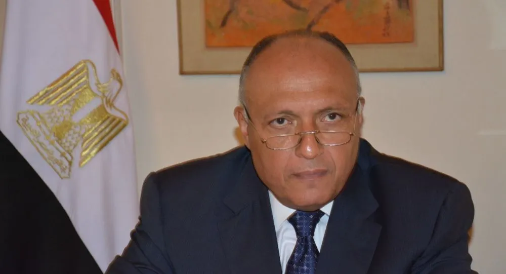 Misr, Îtalya û Yewnanistan: Şandina hêzên leşekrî ji bo Lîbyayê gavek xeter e