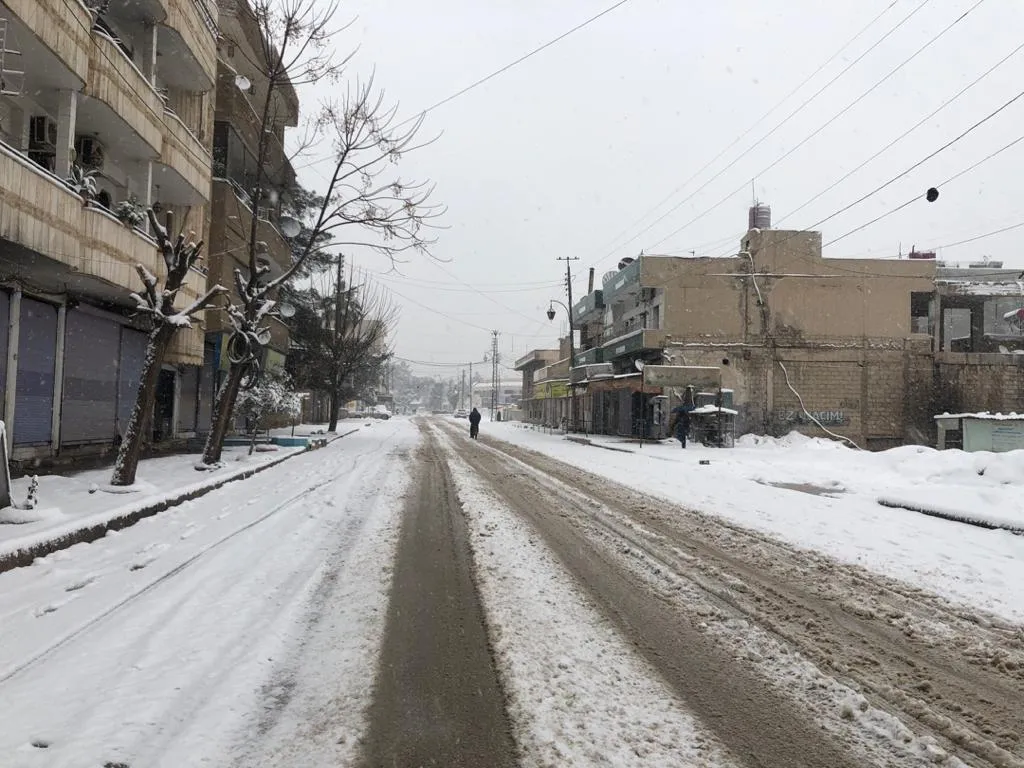 Berfê Rojavayê Kurdistanê pêçand