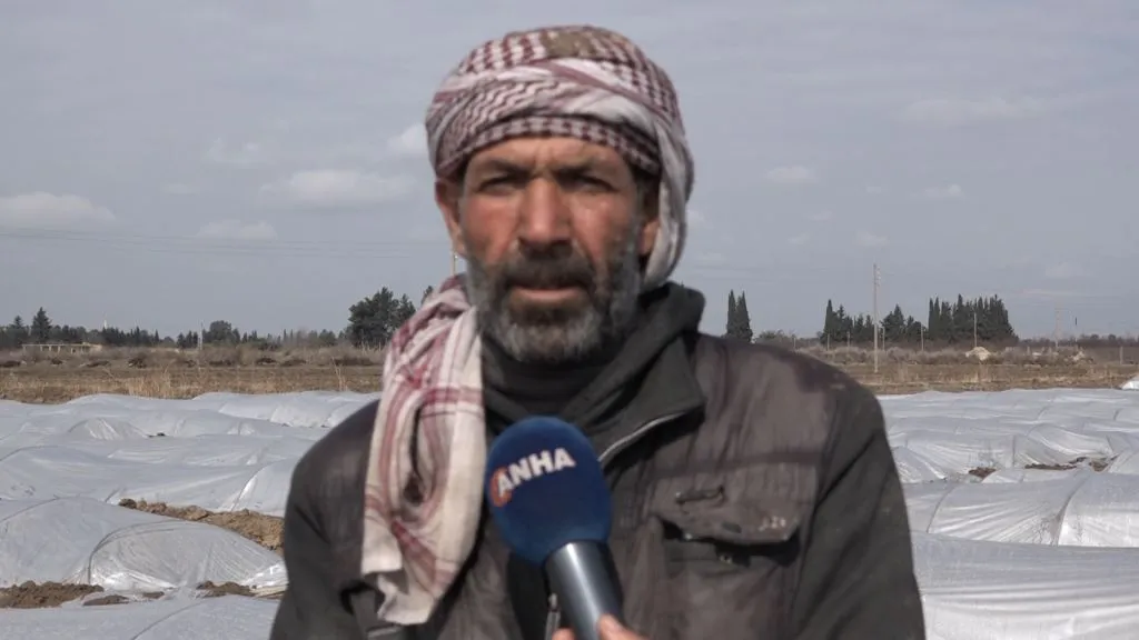 Seqemê şitilgehên li Reqayê telef kirin