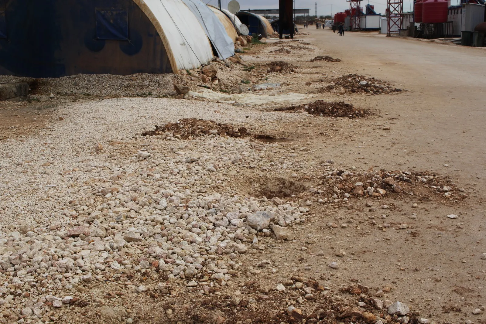 Koçberên Efrînê dest bi hemleya çandina daran kir
