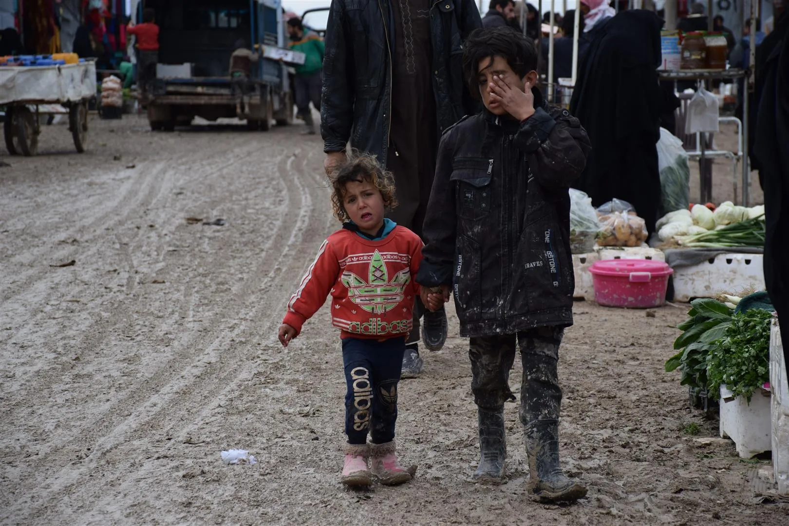 Li kampa Holê bergiriyên li dijî Koronayê